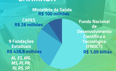 Resultado da Chamada INCT