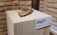 Exposição Contraste segue aberta ao público no Museu Théo Brandão