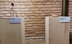 Exposição Contraste segue aberta ao público no Museu Théo Brandão