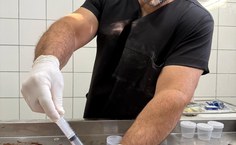 Ufal colabora com estudos sobre óbitos de equinos por suspeita de contaminação de ração