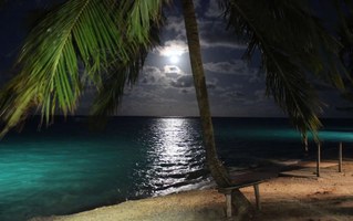 Janeiro Branco 2026 vai iluminar a orla de Maceió pela saúde mental