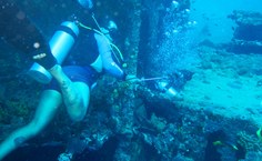 Ufal participa de ação de monitoramento e manejo seguro do peixe-leão