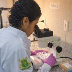 Ufal e UFV unem forças para avançar no diagnóstico da leishmaniose no Brasil