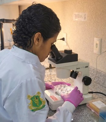 Os pesquisadores desenvolvem o projeto no Laboratório de Parasitologia (Labpar) da Ufal