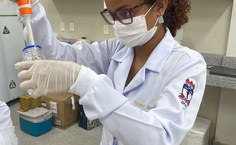 Os pesquisadores desenvolvem o projeto no Laboratório de Parasitologia (Labpar) da Ufal