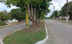 Parceria com a Prefeitura de Maceió reforça, além da limpeza, iluminação e cuidados com áreas verdes