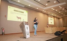 Apresentação - Aline Rocha