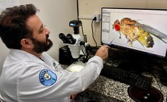 Pesquisas no Lavitox destacam Alagoas na ciência