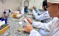 Pesquisas no Lavitox destacam Alagoas na ciência