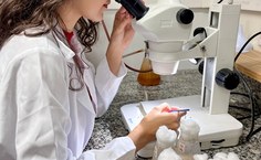 Pesquisas no Lavitox destacam Alagoas na ciência