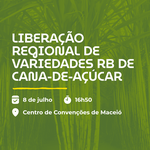 Setor sucroenergético ganha novas variedades de cana com participação da Ufal