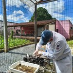 Ufal integra projeto campeão de prêmio nacional de preservação ambiental