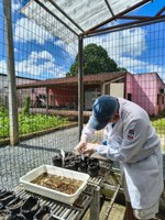 Ufal integra projeto campeão de prêmio nacional de preservação ao Meio Ambiente