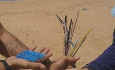 "Para reduzir a poluição por plástico, é preciso encarar o problema da produção até o descarte, além de conscientizar acerca do uso indiscriminado"