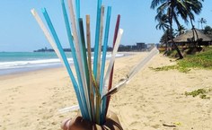 "Para reduzir a poluição por plástico, é preciso encarar o problema da produção até o descarte, além de conscientizar acerca do uso indiscriminado"