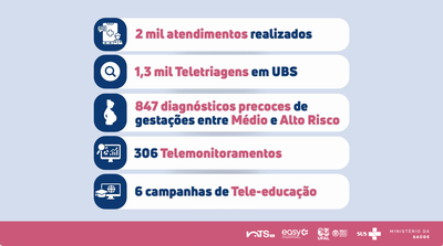 Infográfico com os número do primeiro ano de atividades do NTS-AL