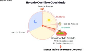 Pesquisa identifica horário do cochilo associado a menor peso corporal