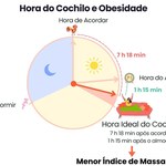 Pesquisa identifica horário do cochilo associado a menor peso corporal