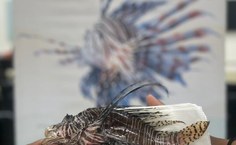 Capacitação sobre o manejo seguro do peixe-leão
